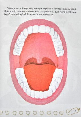 Denti del bambino. Tutto sulla cura dei tuoi denti